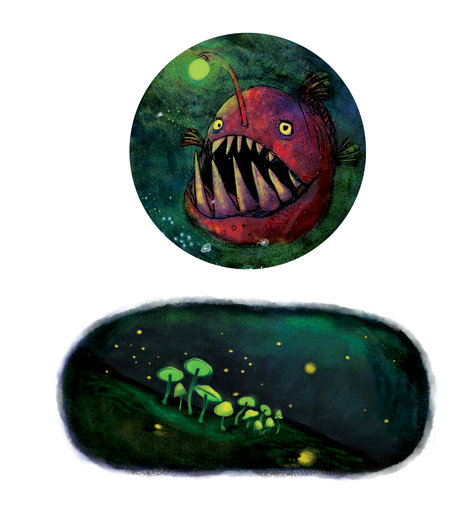 Anglerfish and mushrooms