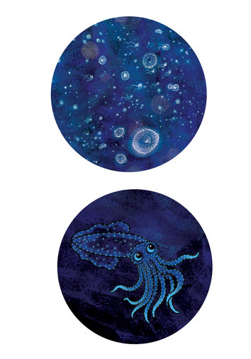 Plankton and firefly squid