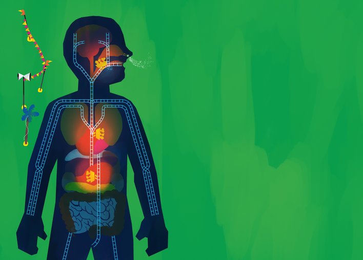 Inside the human body