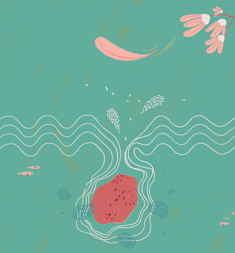 A petal above and a rock below