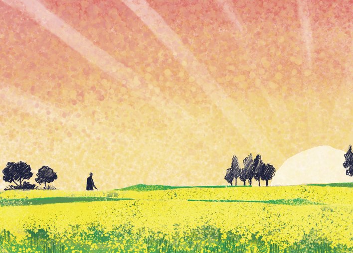 Sun rising over a large field