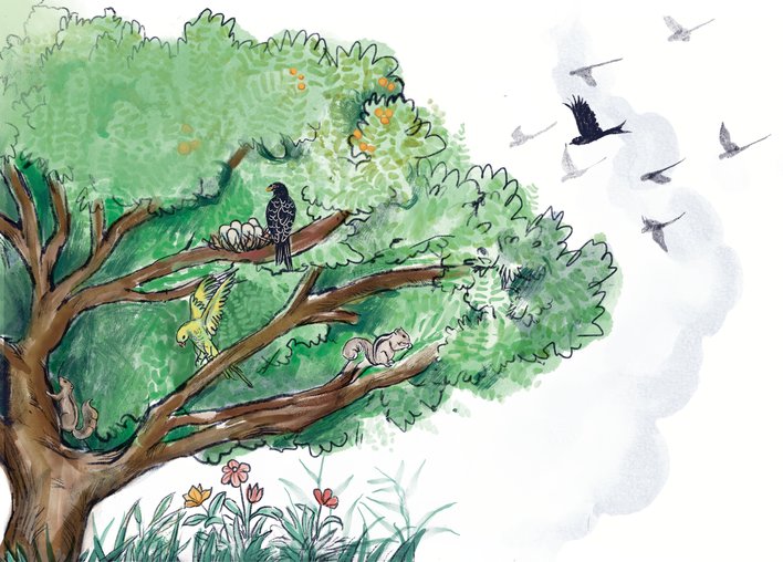 Large tree with many birds and squirrels on it