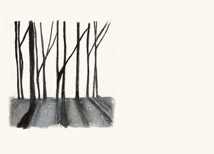 A row of trees