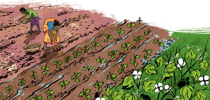 Two farmers working in the field