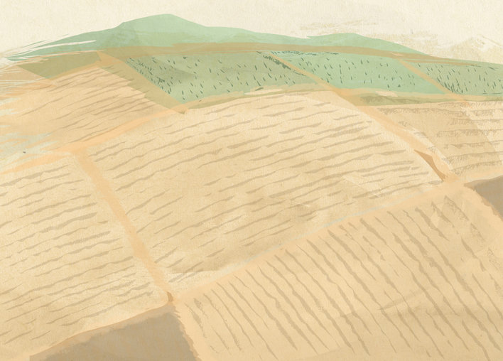 Agricultural landscape