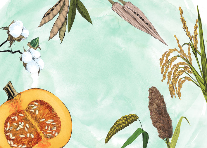 Assorted plants and vegetables