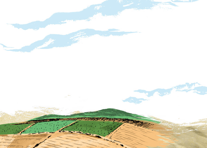 An agricultural landscape
