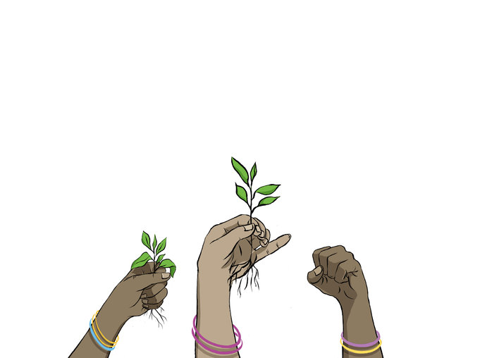 Three hands lifted and holding plants