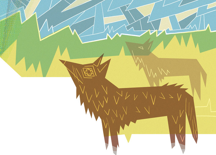 Two jackals under a mosaic sky