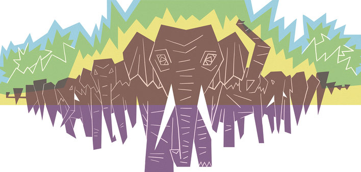 Thundering Elephants