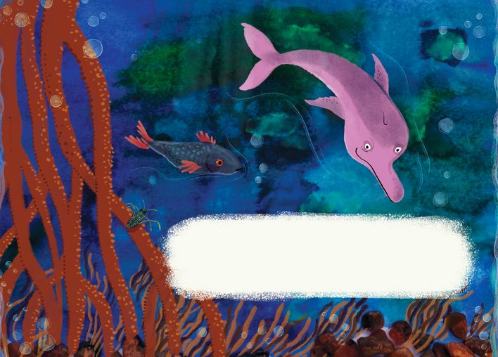 A dolphin in the river