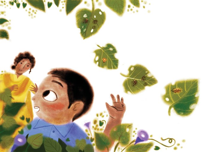 A boy asking his teacher about the tortoiseshell beetle