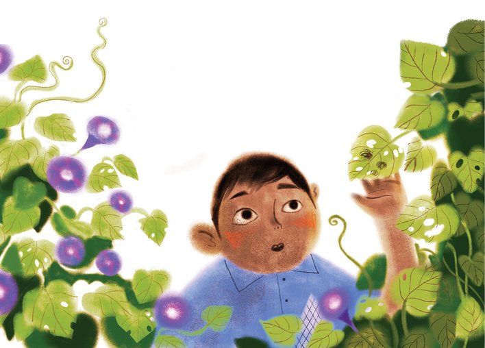 A boy among flowers looking at a tortoiseshell beetle