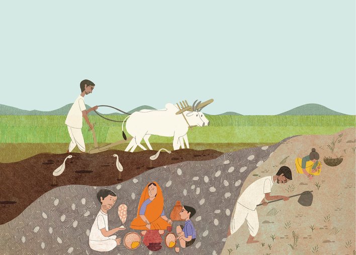 Farmer ploughing the field with bullocks, having dinner with family and sowing seeds