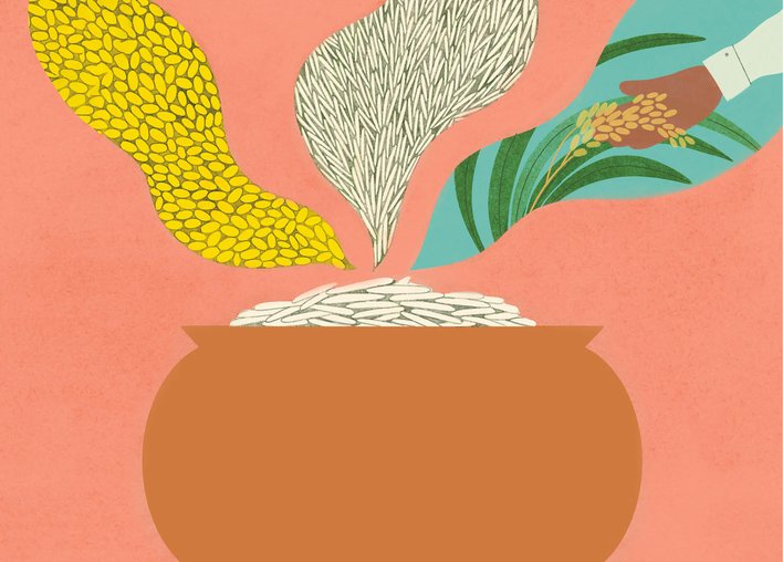 A pot of rice grains showcasing the process of rice farming