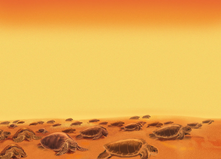 Countless turtles crawling together on the beach sand