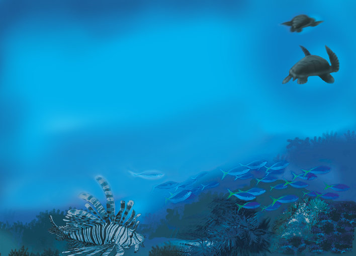 Beautiful underwater life