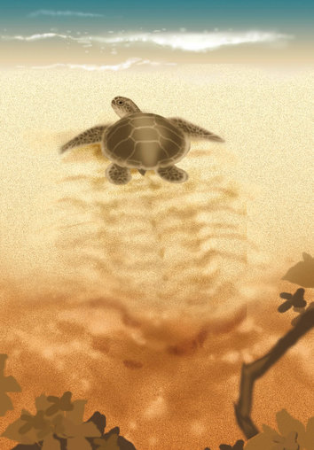 Turtle going back to the ocean from the beach