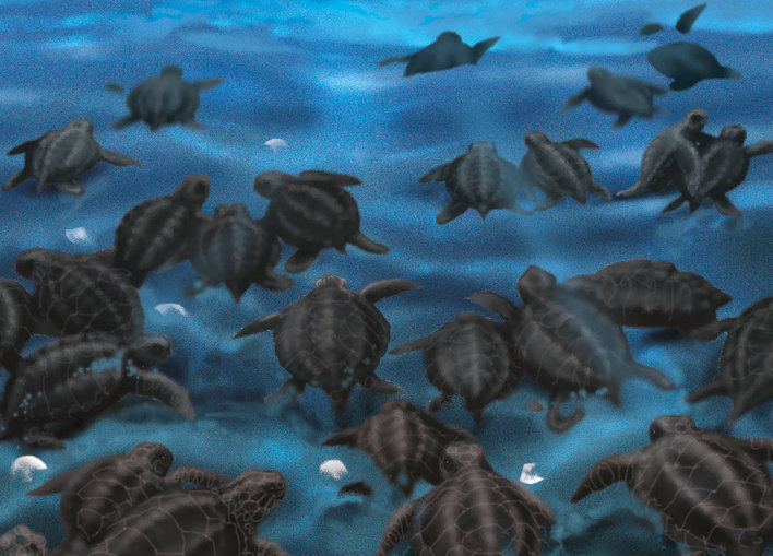 Countless baby turtles crawling together on the beach after hatching