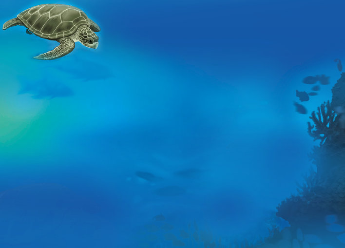 Turtle swimming in an ocean background