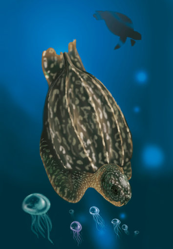 One huge turtle in the ocean with some jellyfish