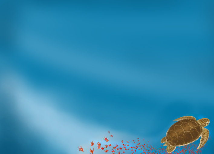Turtle with crabs background