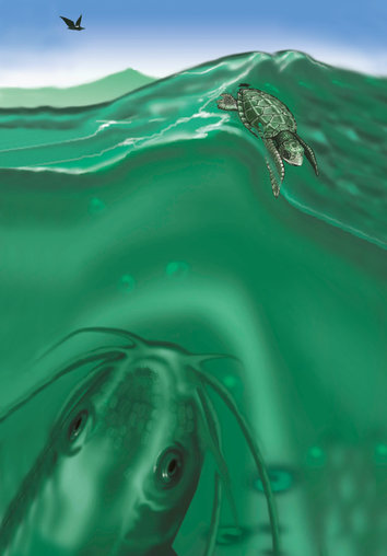 Turtle riding the wave in the ocean
