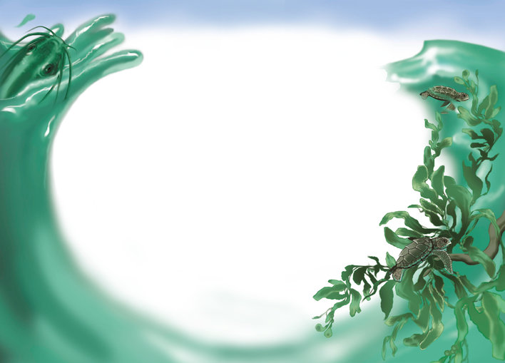 Fish and the turtle in the sea