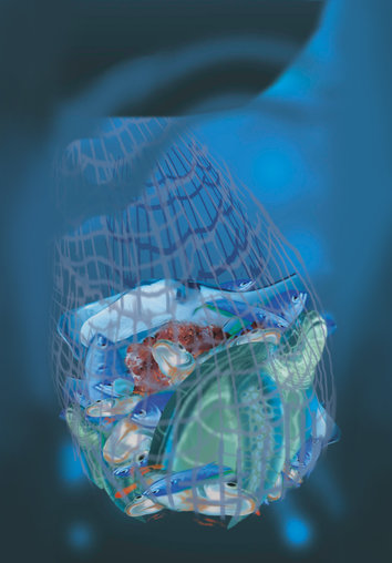 All kinds of fish trapped in a trawl net