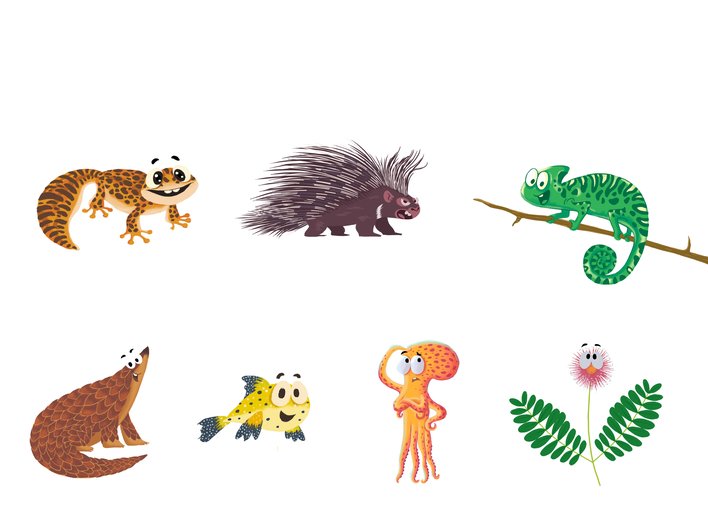 animals and plants