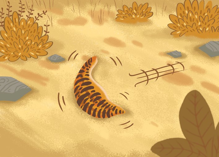 Gecko's tail