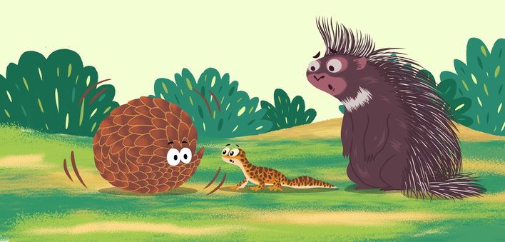 Surprised porcupine