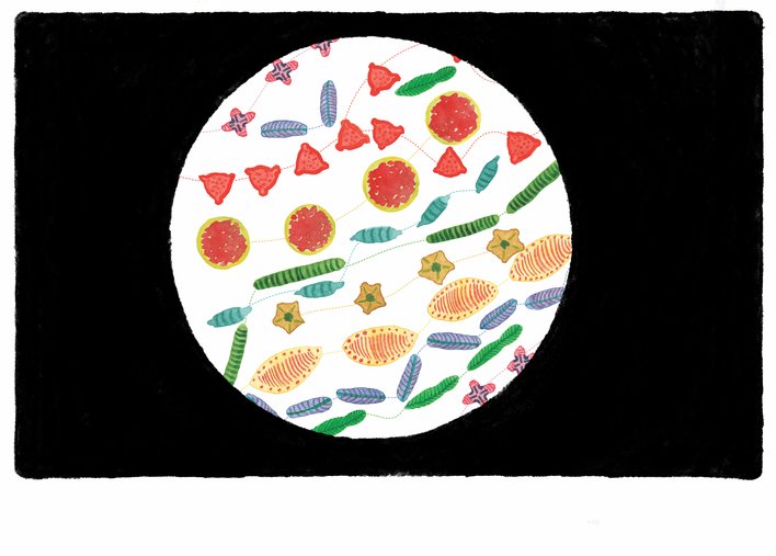 a diatoms movement