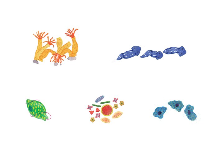 Microbes around us _1