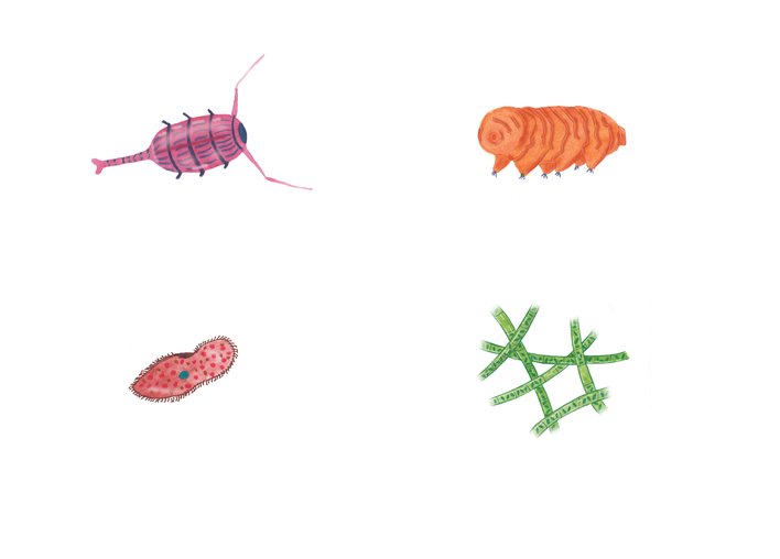 Microbes around us 2