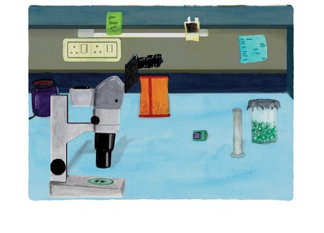 the microscope in a lab
