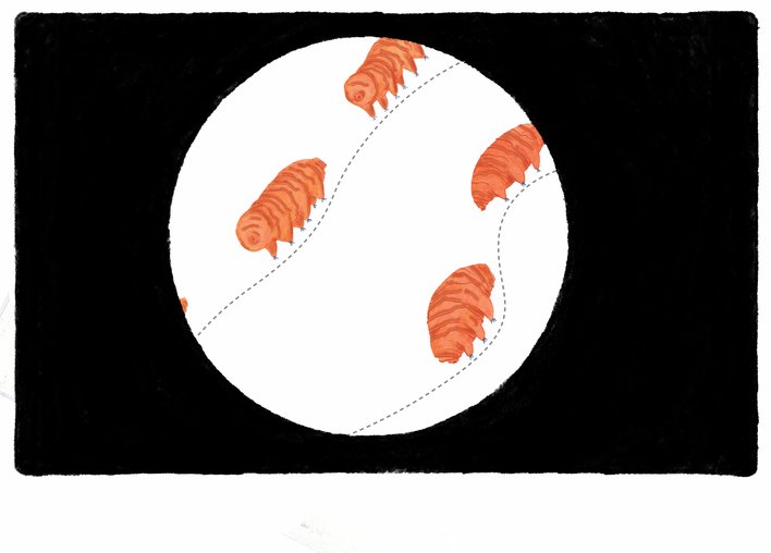 the tardigrades movement