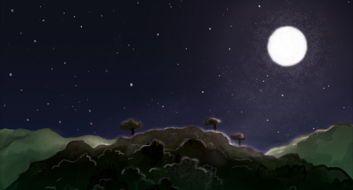 Forest at night