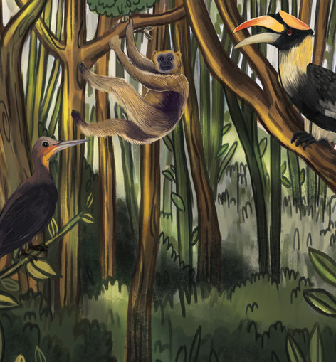Great slaty woodpecker, Hoolock gibbons and the great Indian hornbill