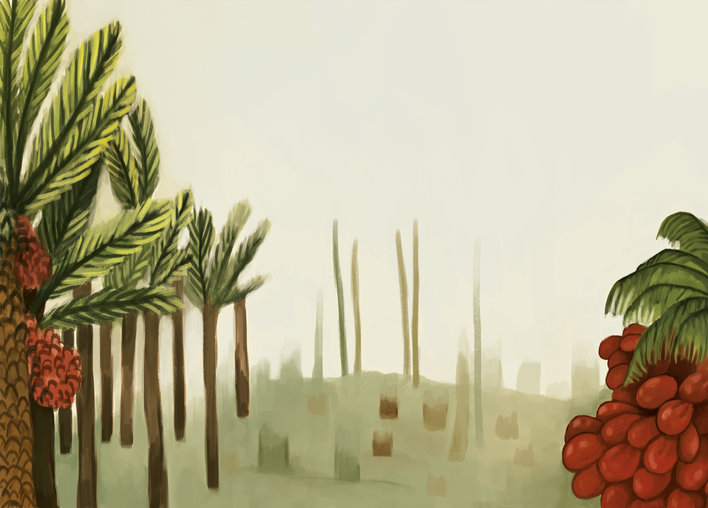 Palm trees in the forest