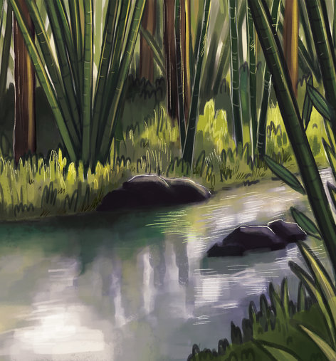 River seling surrounded by trees