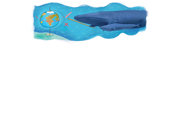 Whales with a stick