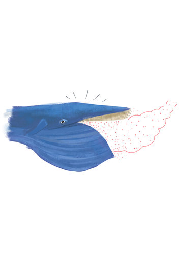 Whale
