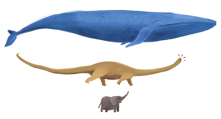 Elephant and a blue whale