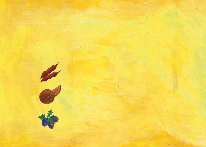 Tamarind, chikoo and mulberries against a yellow background