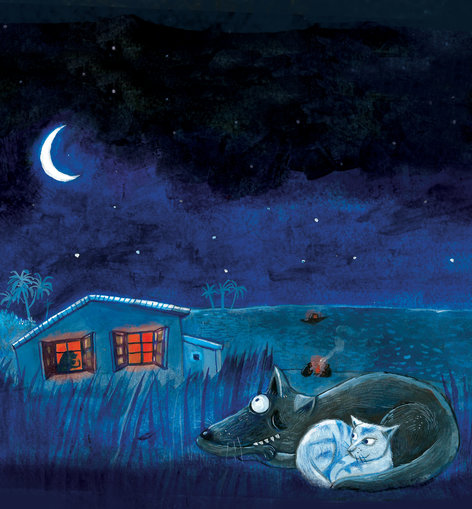 Night