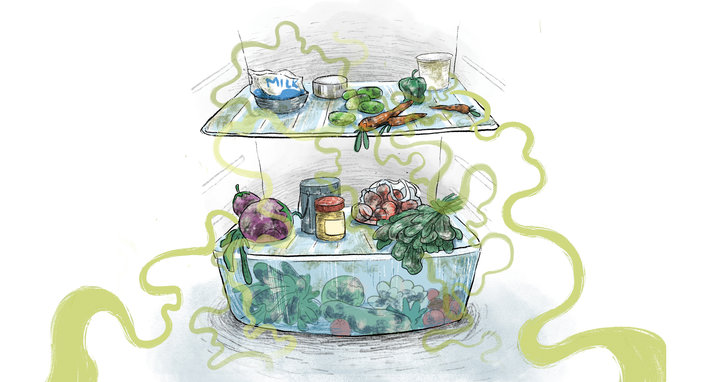 Rotten vegetables