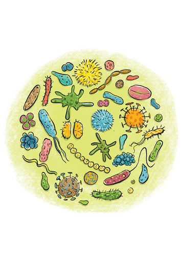 Microbes