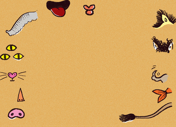 Body parts of different animals