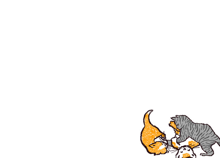 Playing kittens